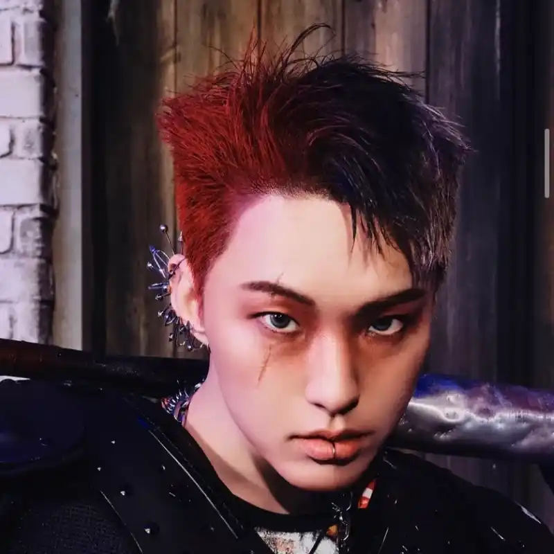 호시 (SEVENTEEN)