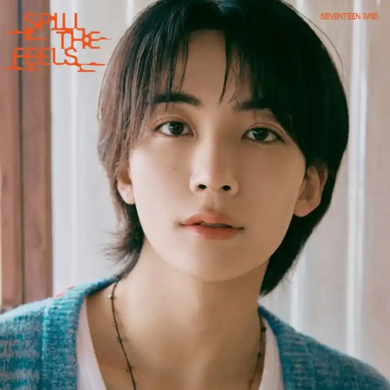 정한 (SEVENTEEN)