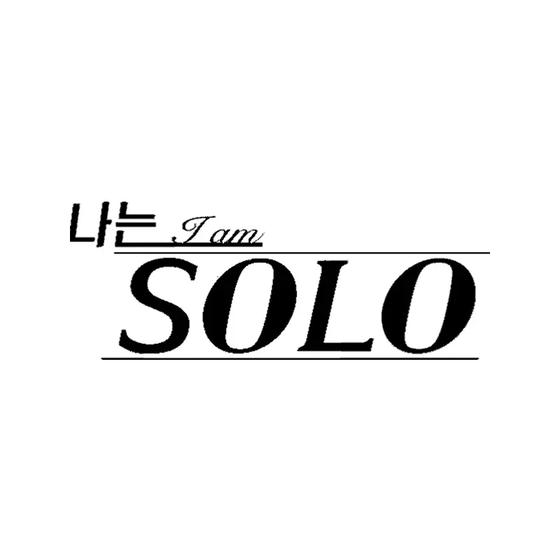 나는 SOLO