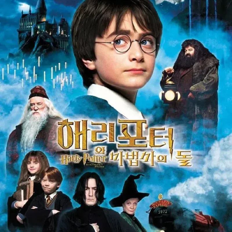 해리포터와 마법사의 돌