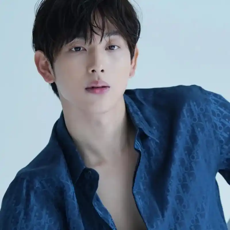 임시완