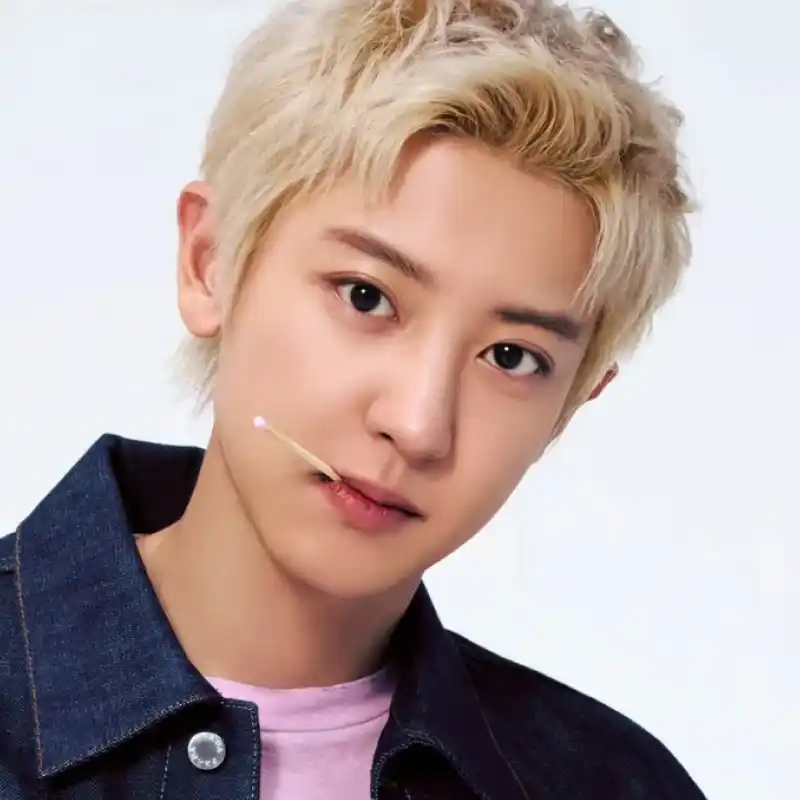 찬열(EXO)