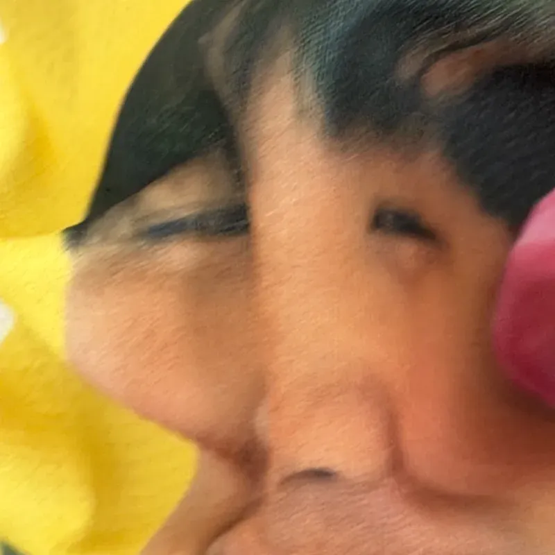 에스기훈
