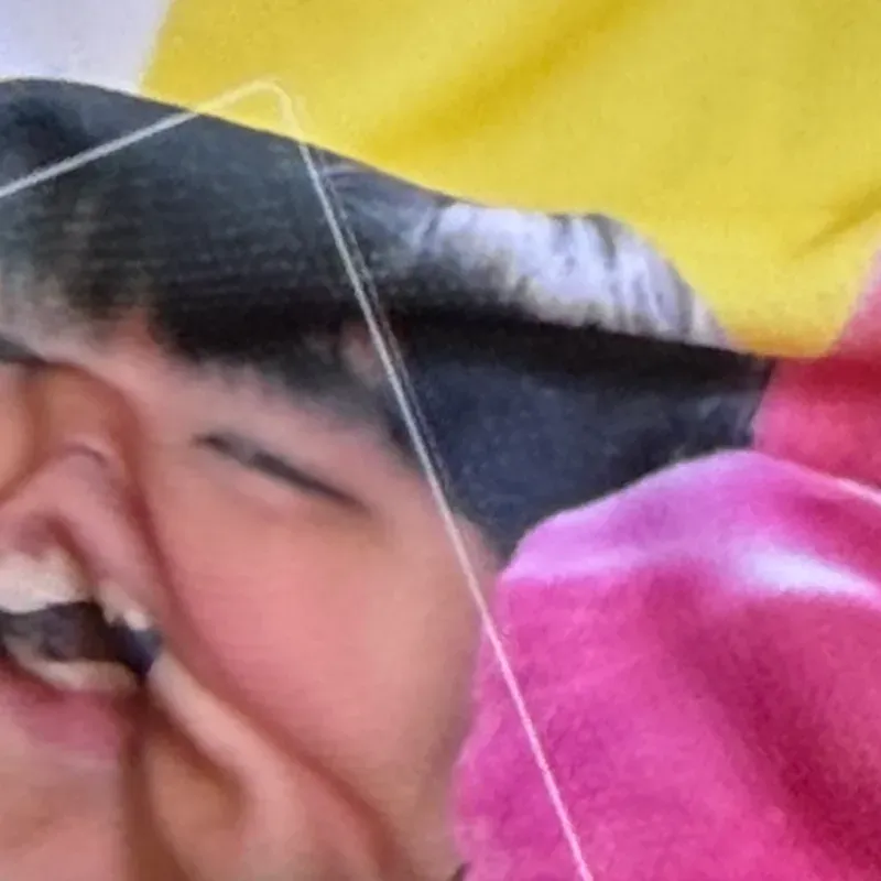 사이버기훈