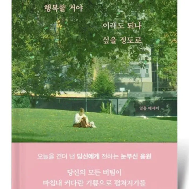 후보 19