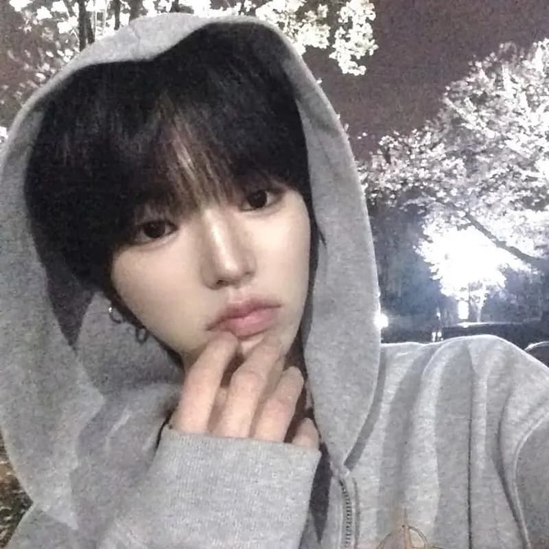 벚꽃 재영