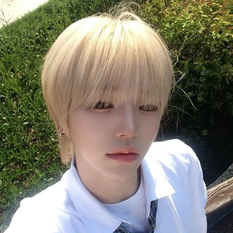 광합성 재영