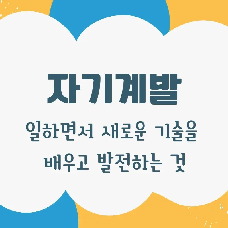 후보 16